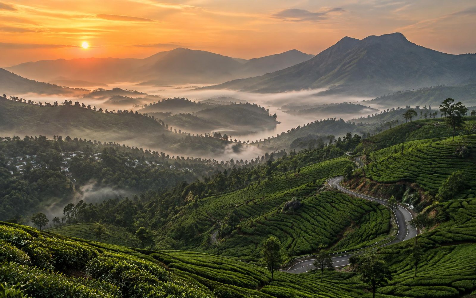Mist over the tea plantations of Munnar at sunrise